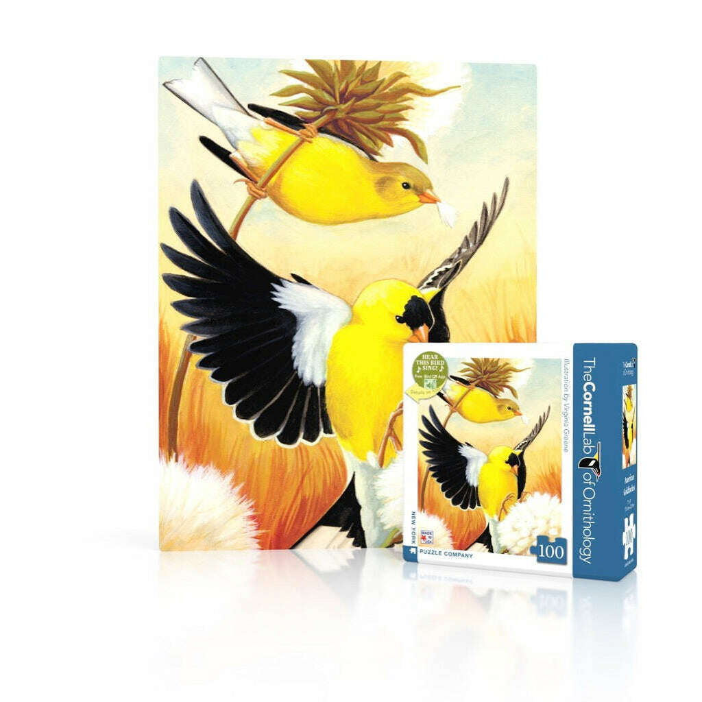 American Goldfinch Mini