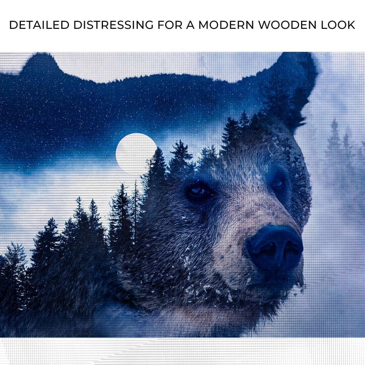 Animals Forest Bear Illustration Canvas Wall Art II
