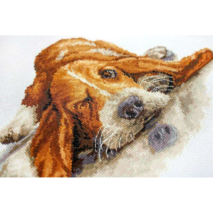 Basset  B2341L Counted Cross-Stitch Kit