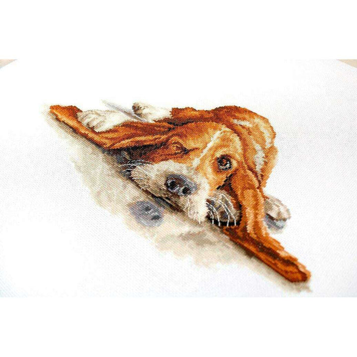 Basset  B2341L Counted Cross-Stitch Kit