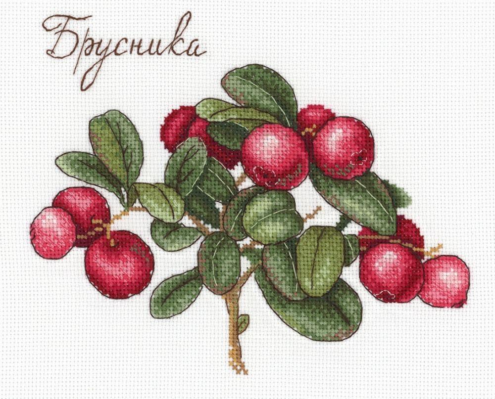 Berries SNV-650 Counted Cross Stitch Kit