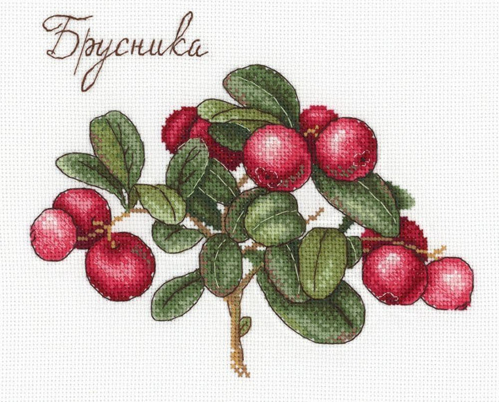 Berries SNV-650 Counted Cross Stitch Kit