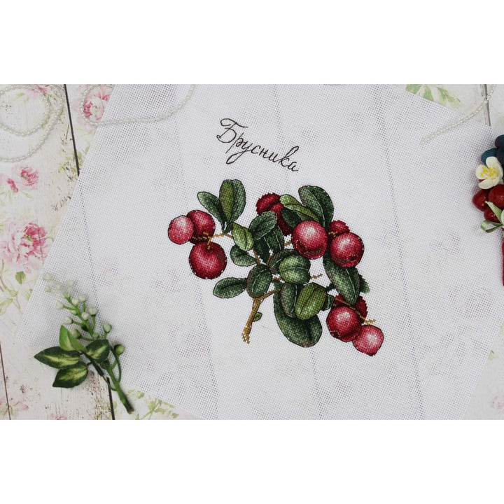 Berries SNV-650 Counted Cross Stitch Kit