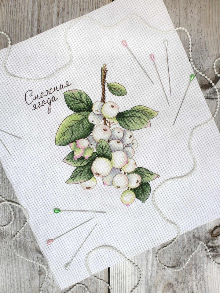 Berries SNV-662 Counted Cross Stitch Kit
