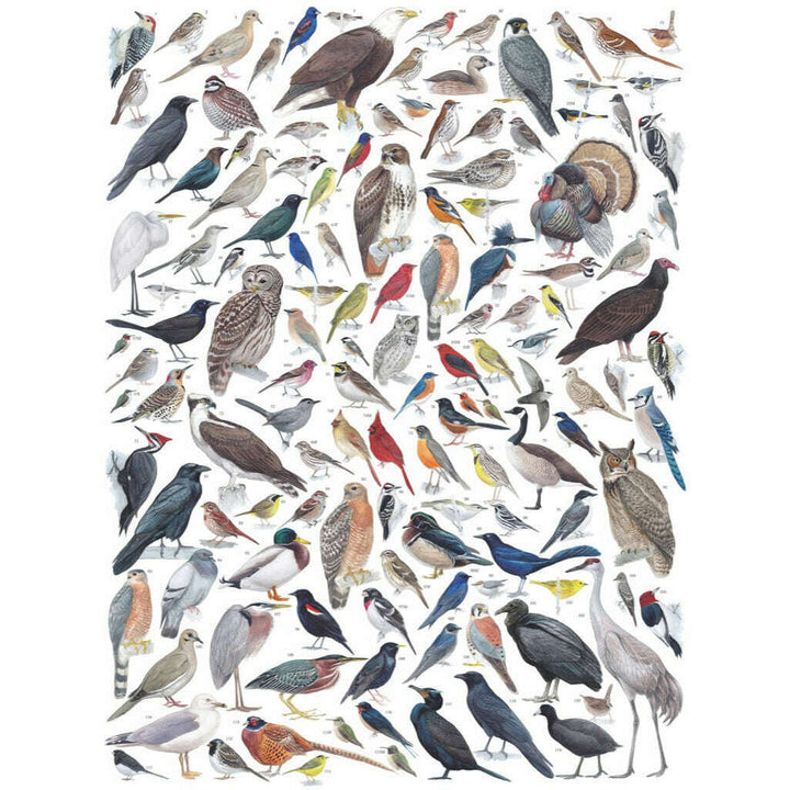 Birds of Eastern/Central North America Jigsaw Puzzle