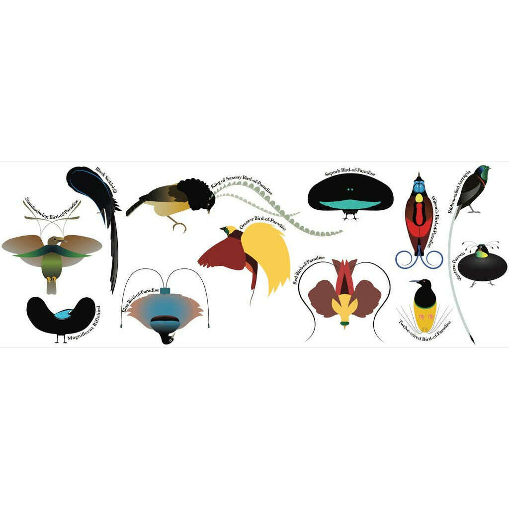 Birds-of-Paradise Mug