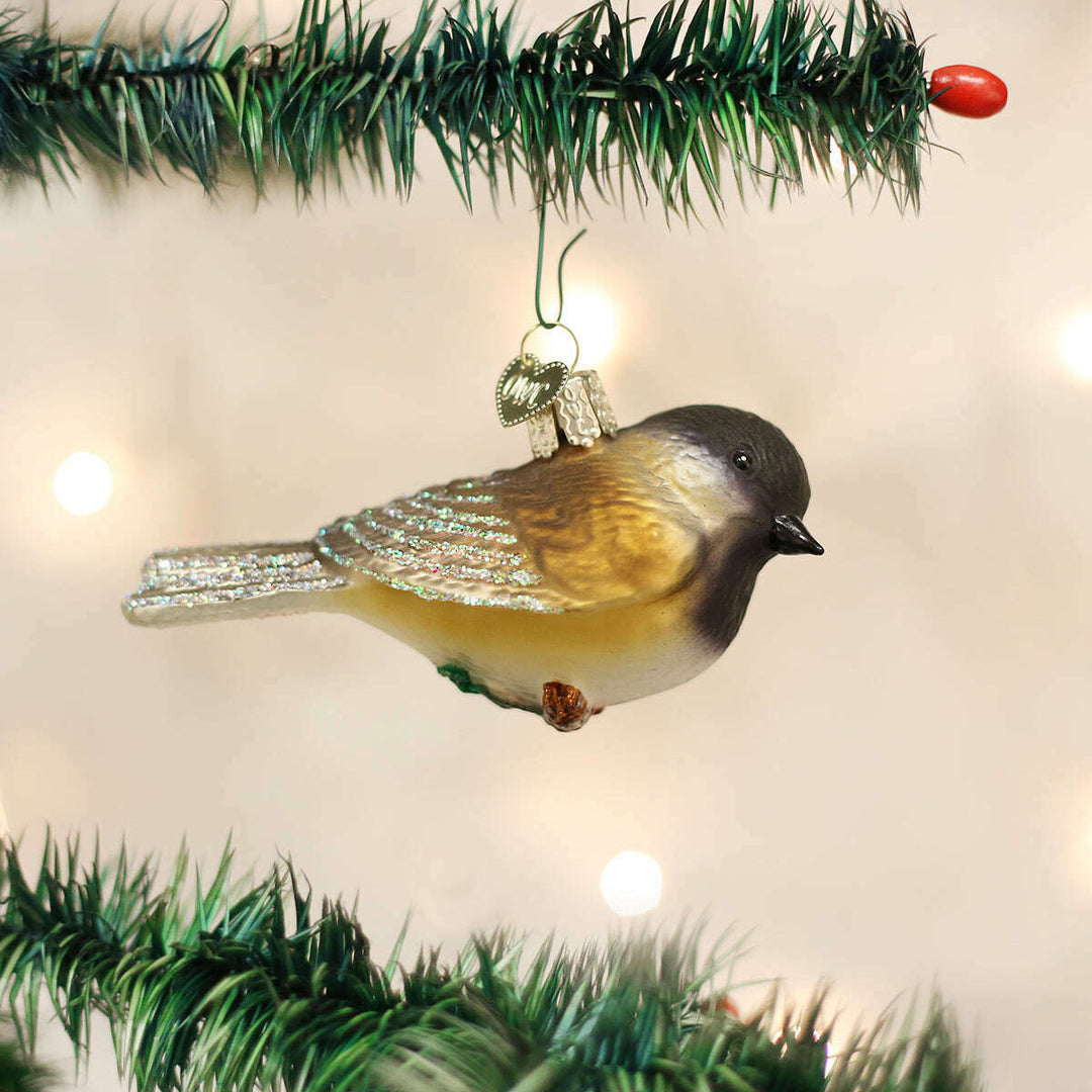 Black-capped Chickadee
