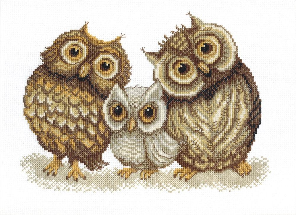 BT-067C Counted cross stitch kit Crystal Art "Family of owls"