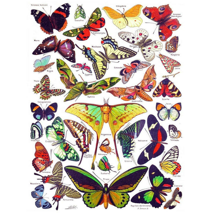 Butterflies ~ Papillons Jigsaw Puzzle