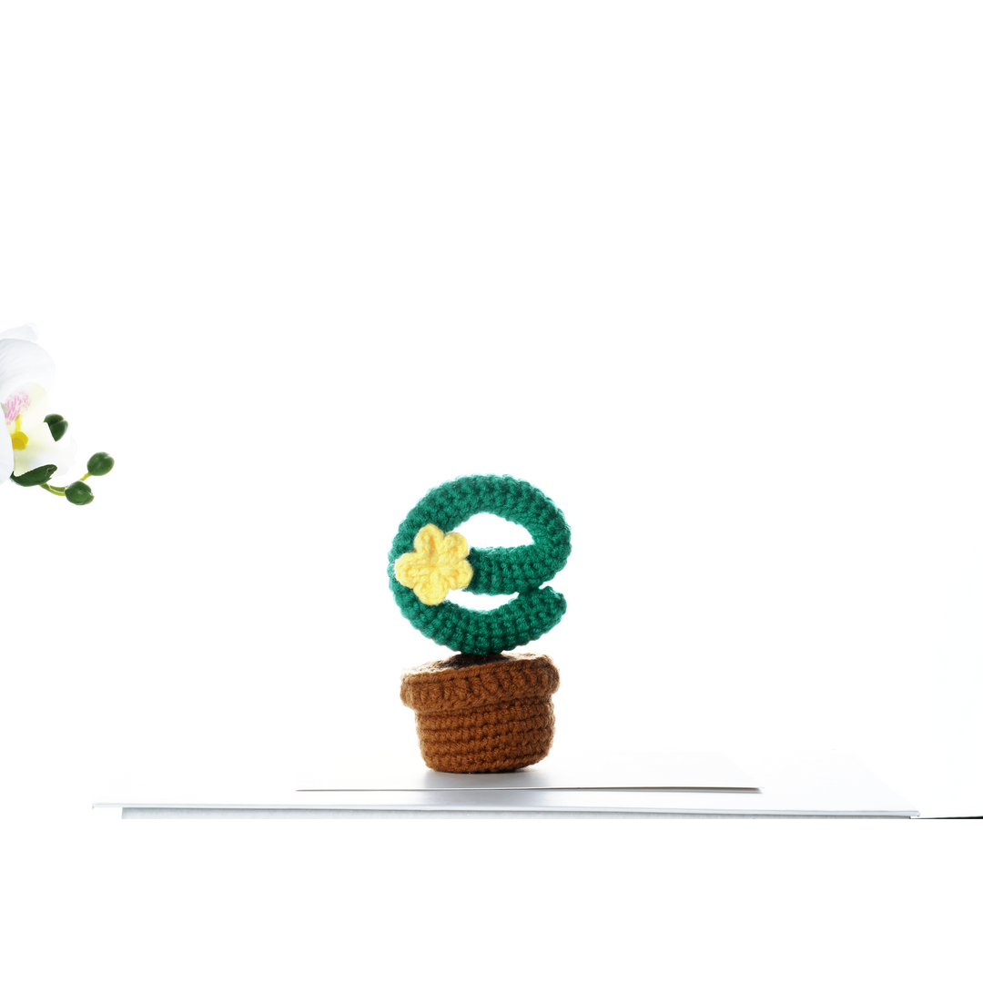Cactus with Flowers. Potted Plant Amigurumi DIY Crochet Kit Wizardi F07N8-M18