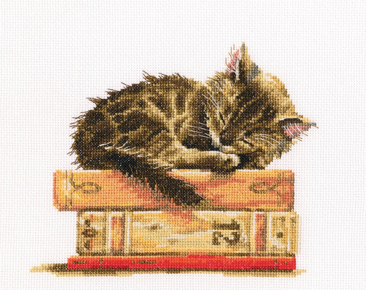 Cat's dream M642 Counted Cross Stitch Kit