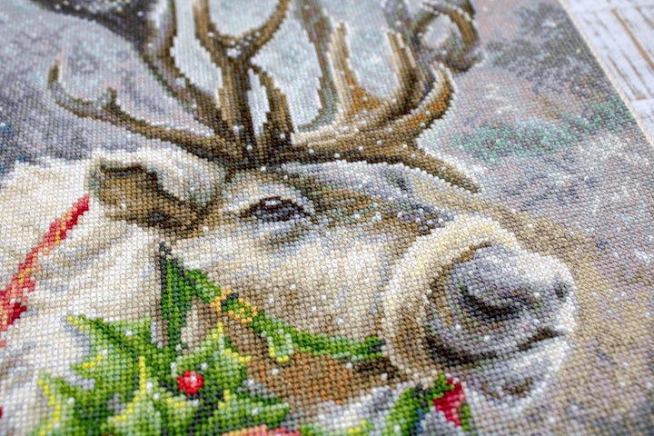 Christmas Deer B598L Counted Cross-Stitch Kit