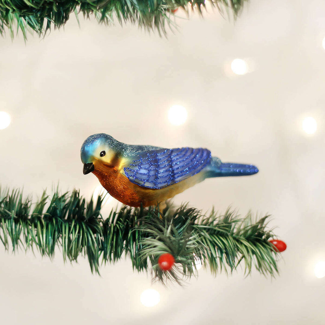 Clip-On Western Bluebird