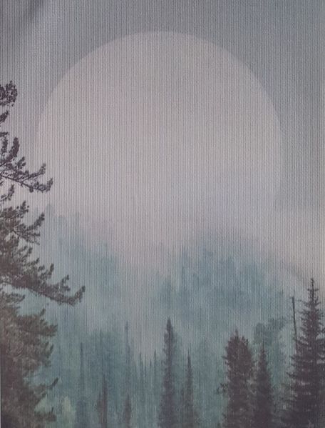 Misty Moonrise Designer Printed AIDA Fabric. Canvas for embroidery with an applied background  KF-1105A