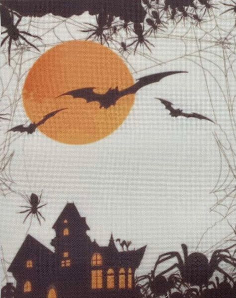 Midnight Flight Designer Printed AIDA Fabric. Canvas for embroidery with an applied background  KF-1378A