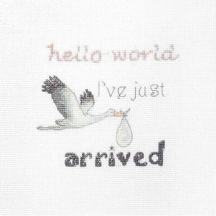 Counted Cross Stitch Kit A gift for a newborn Leti931