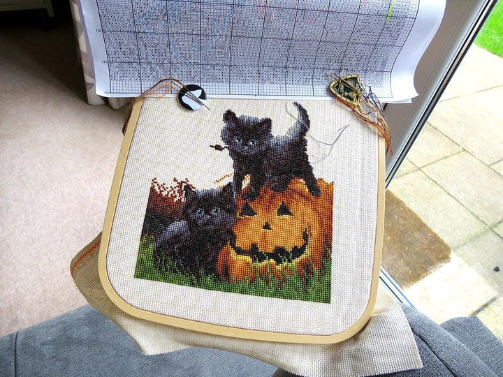 Counted Cross Stitch Kit Did we scare you? Leti964