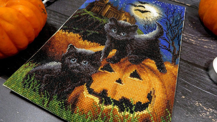 Counted Cross Stitch Kit Did we scare you? Leti964