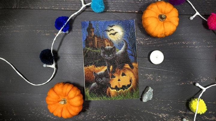 Counted Cross Stitch Kit Did we scare you? Leti964