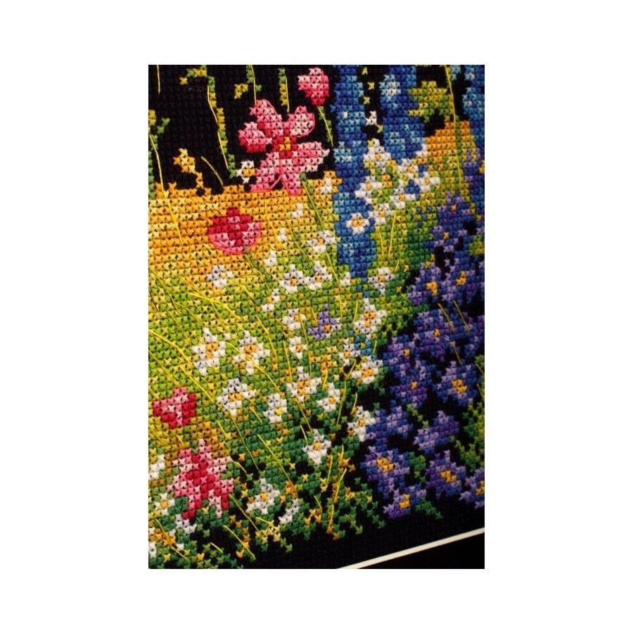Delphinium and cosmos M626 Counted Cross Stitch Kit