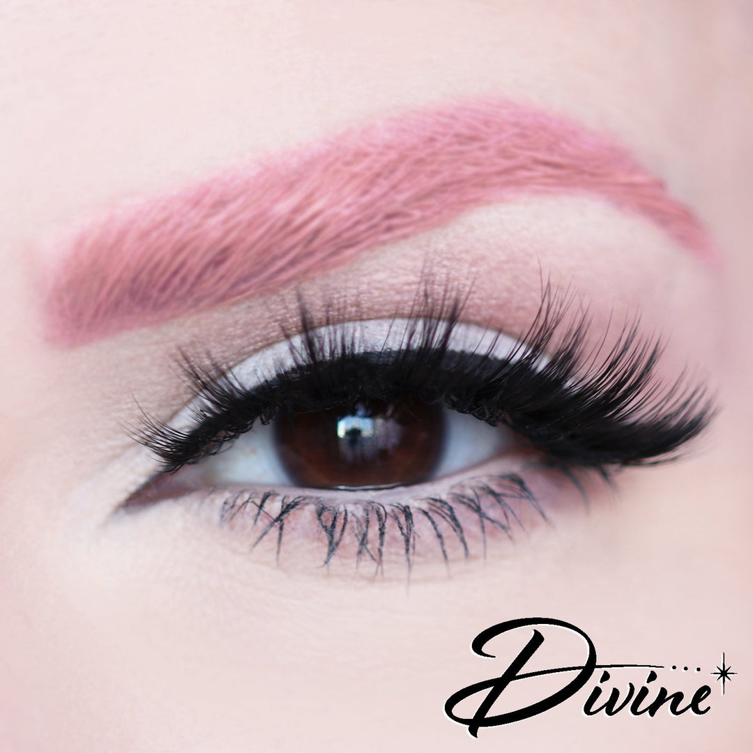 D Poodle Collection- Lashes in Compact