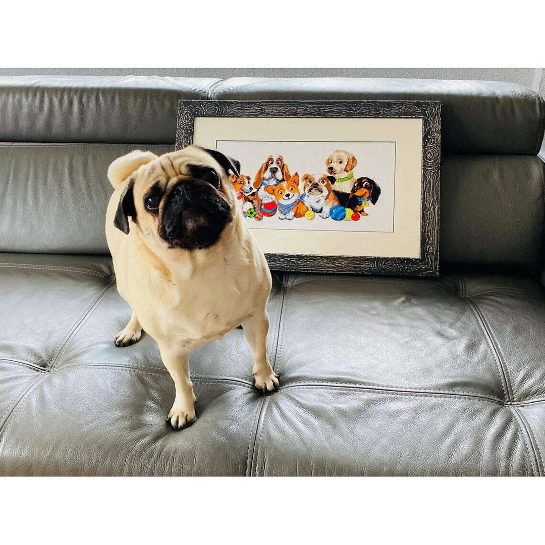 Dog Show R1923 Counted Cross Stitch Kit