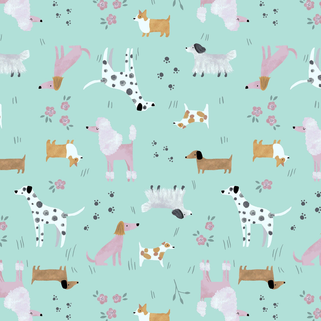 Dogs Collared Dress