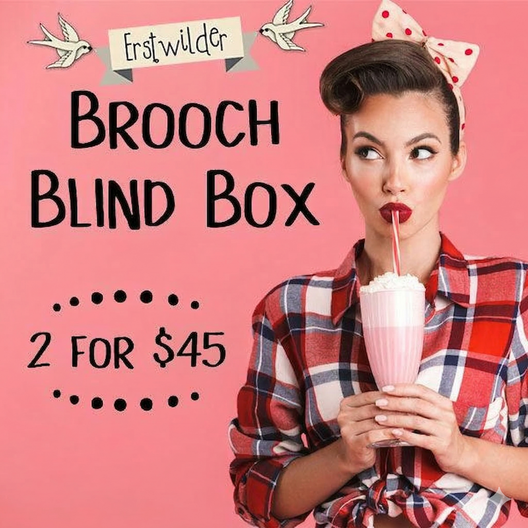 erstwilder lucky dip blind box 2 for $45 50% off