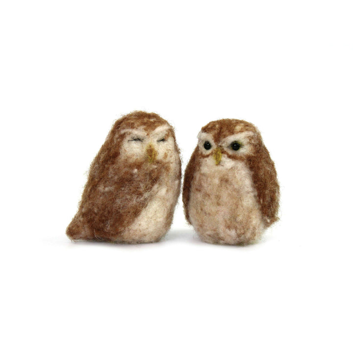 Felting Kit - Little Owl Needle Felt Kit