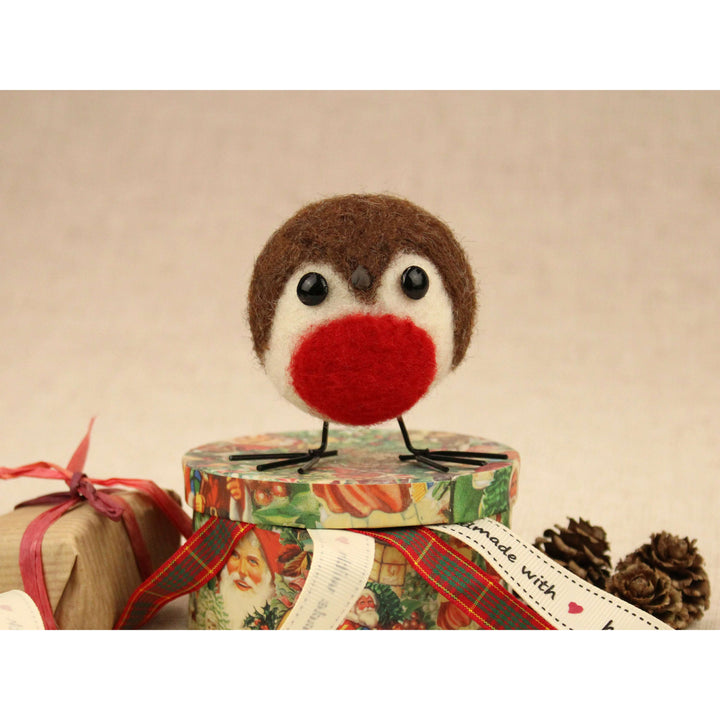 Felting Kit - Round Robin Needle Felt Kit