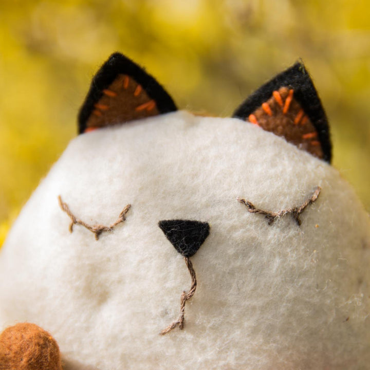 Felting kit  Favourite V-175C