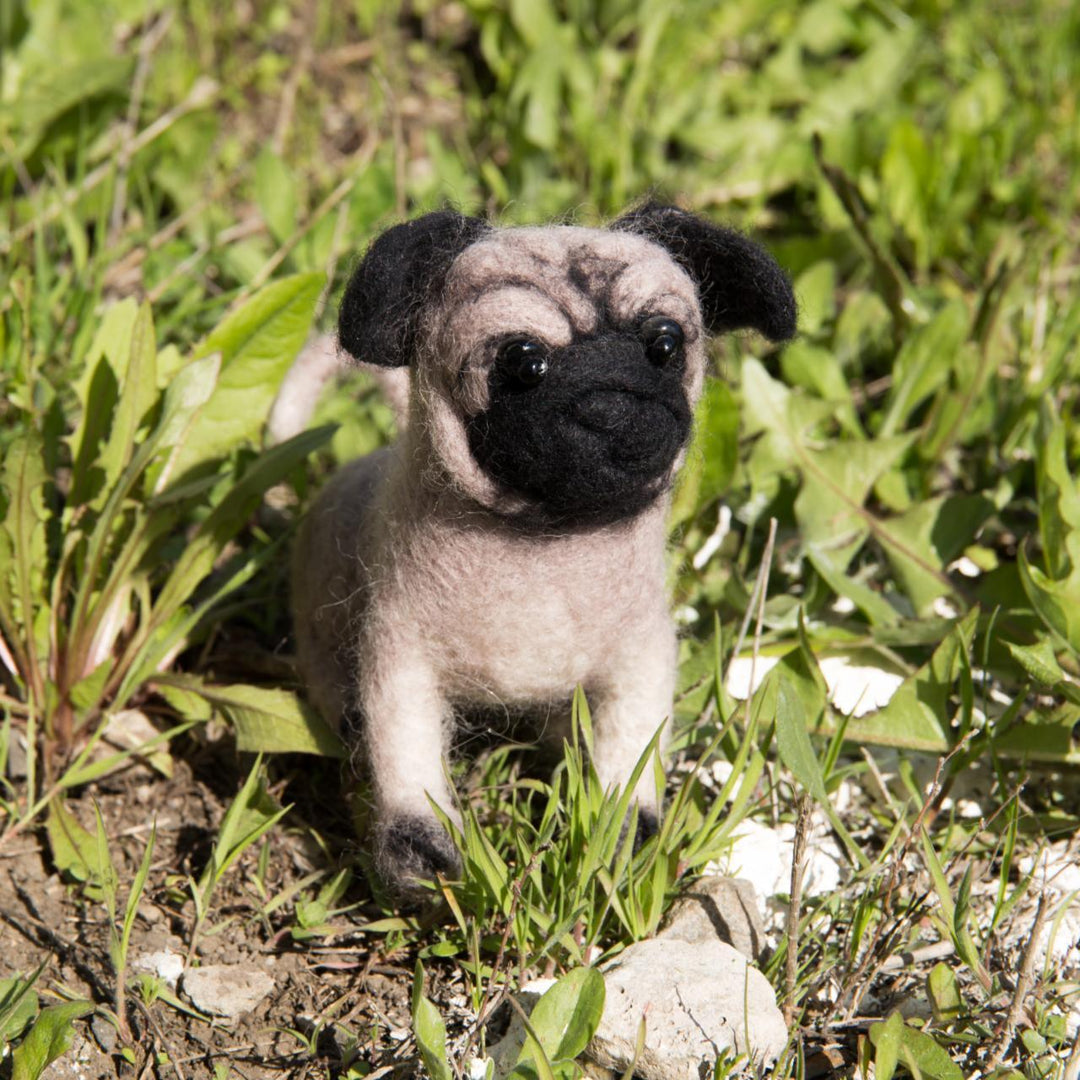 Felting kit Pugdog V-149C