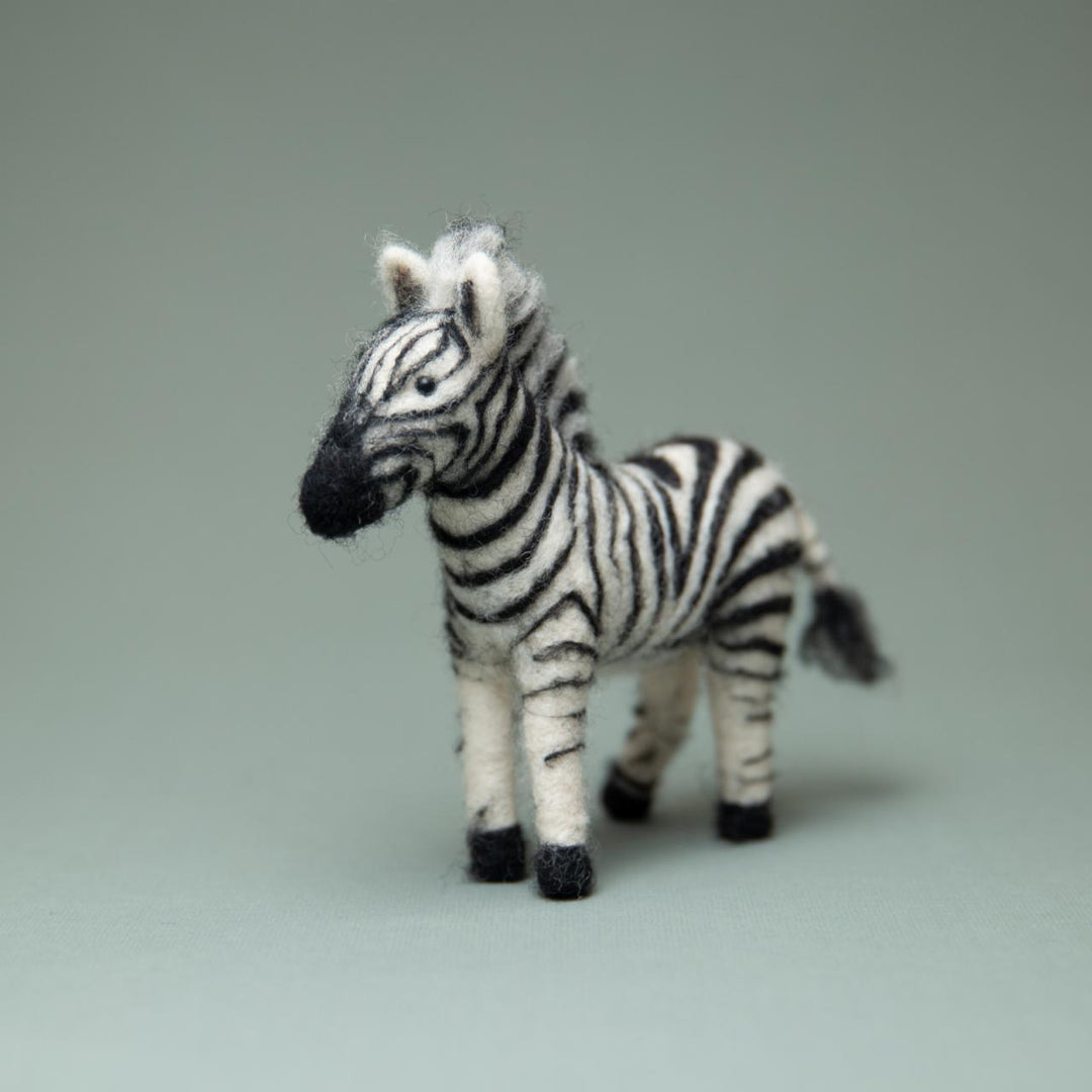 Felting kit Zambezi V-113C