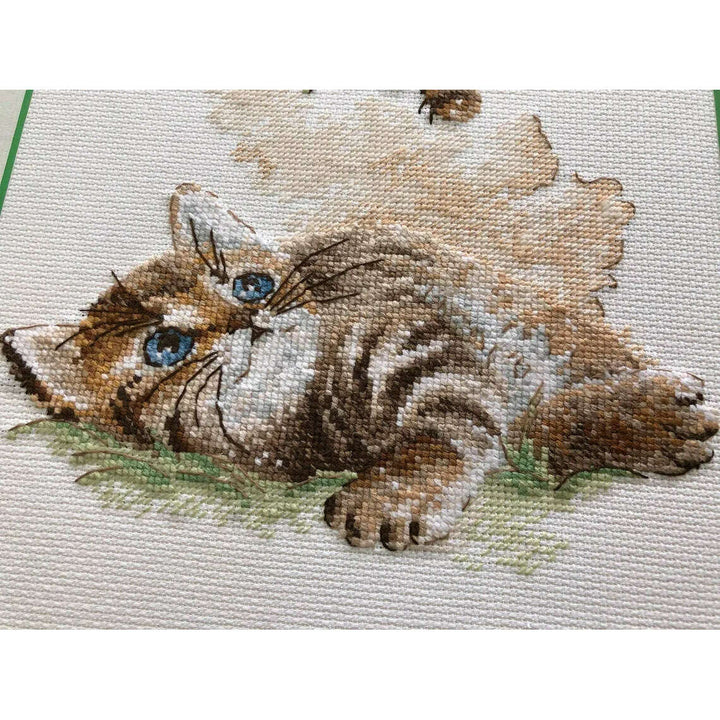 Flight of the Bumblebee R1996 Counted Cross Stitch Kit