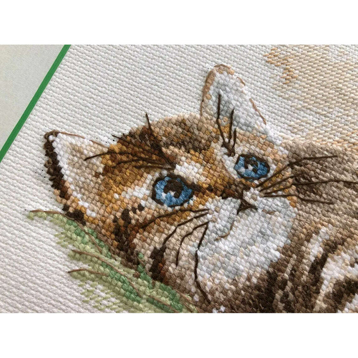 Flight of the Bumblebee R1996 Counted Cross Stitch Kit