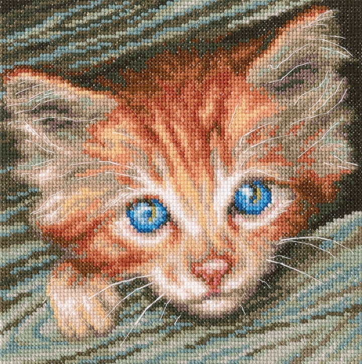 Fluffy observer M710 Counted Cross Stitch Kit