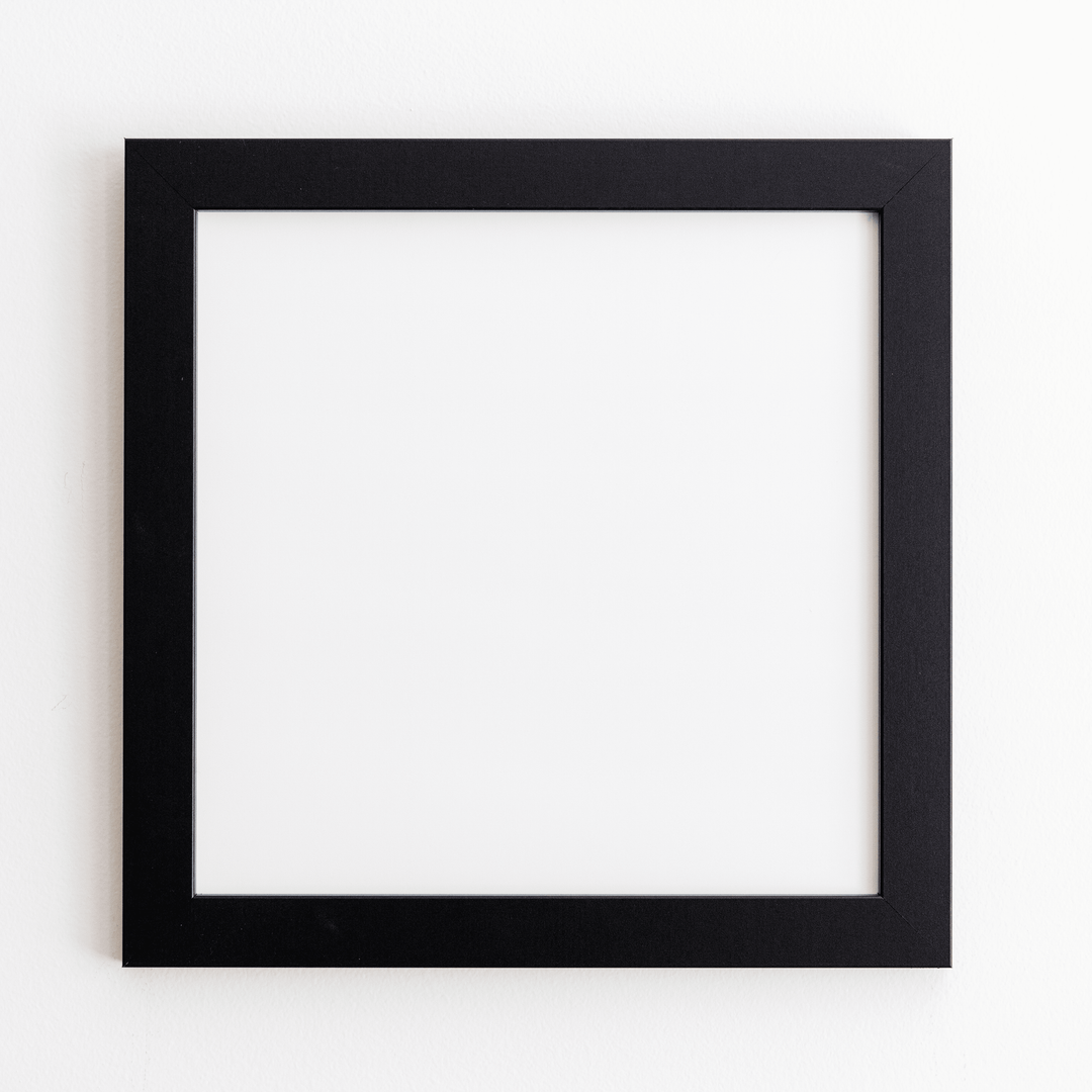 Frame Only