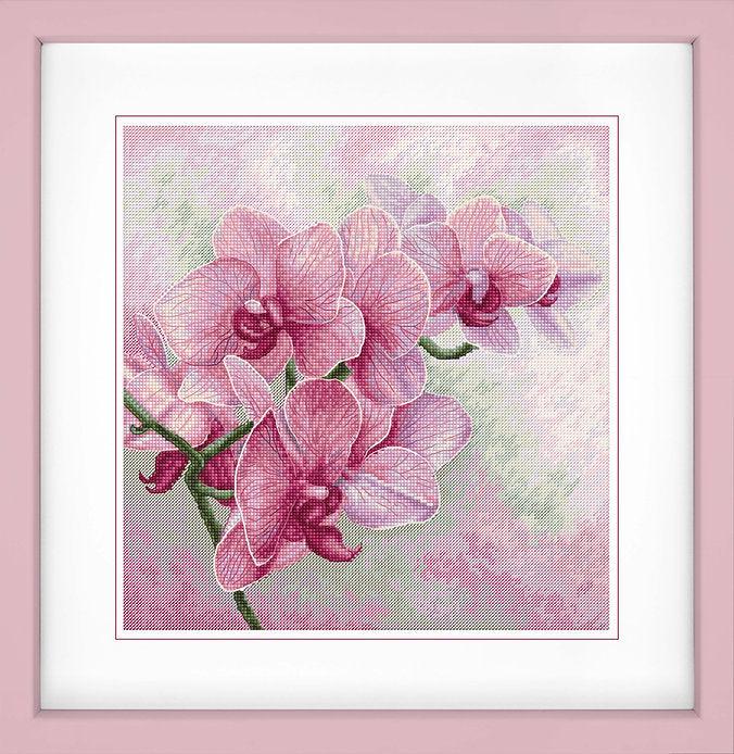 Graceful Orchids B7009L Counted Cross-Stitch Kit