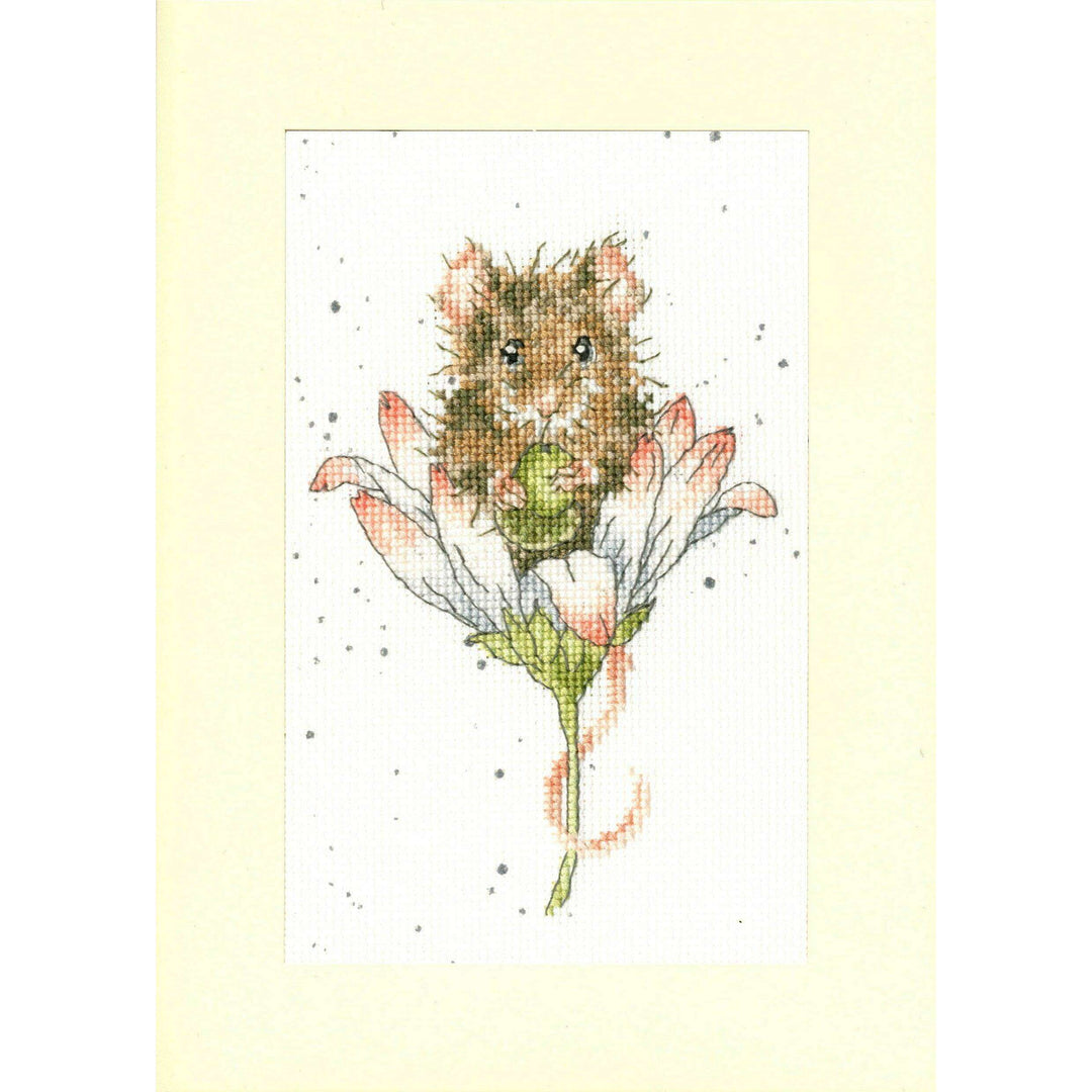 Greeting Card - Wishes Just For You XGC32 Counted Cross Stitch Kit