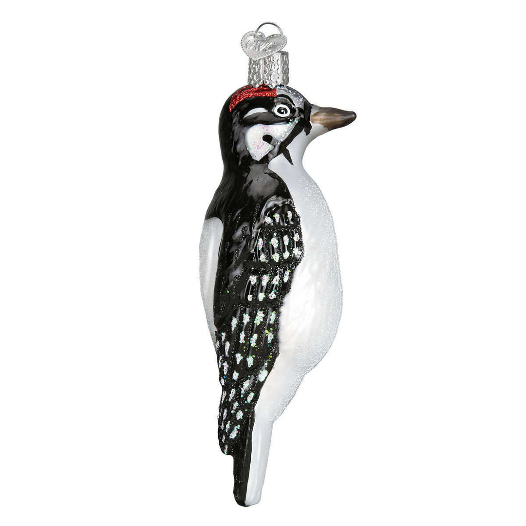 Hanging Hairy Woodpecker