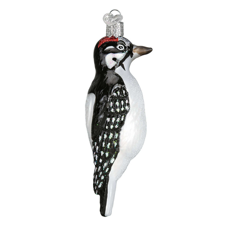 Hanging Hairy Woodpecker