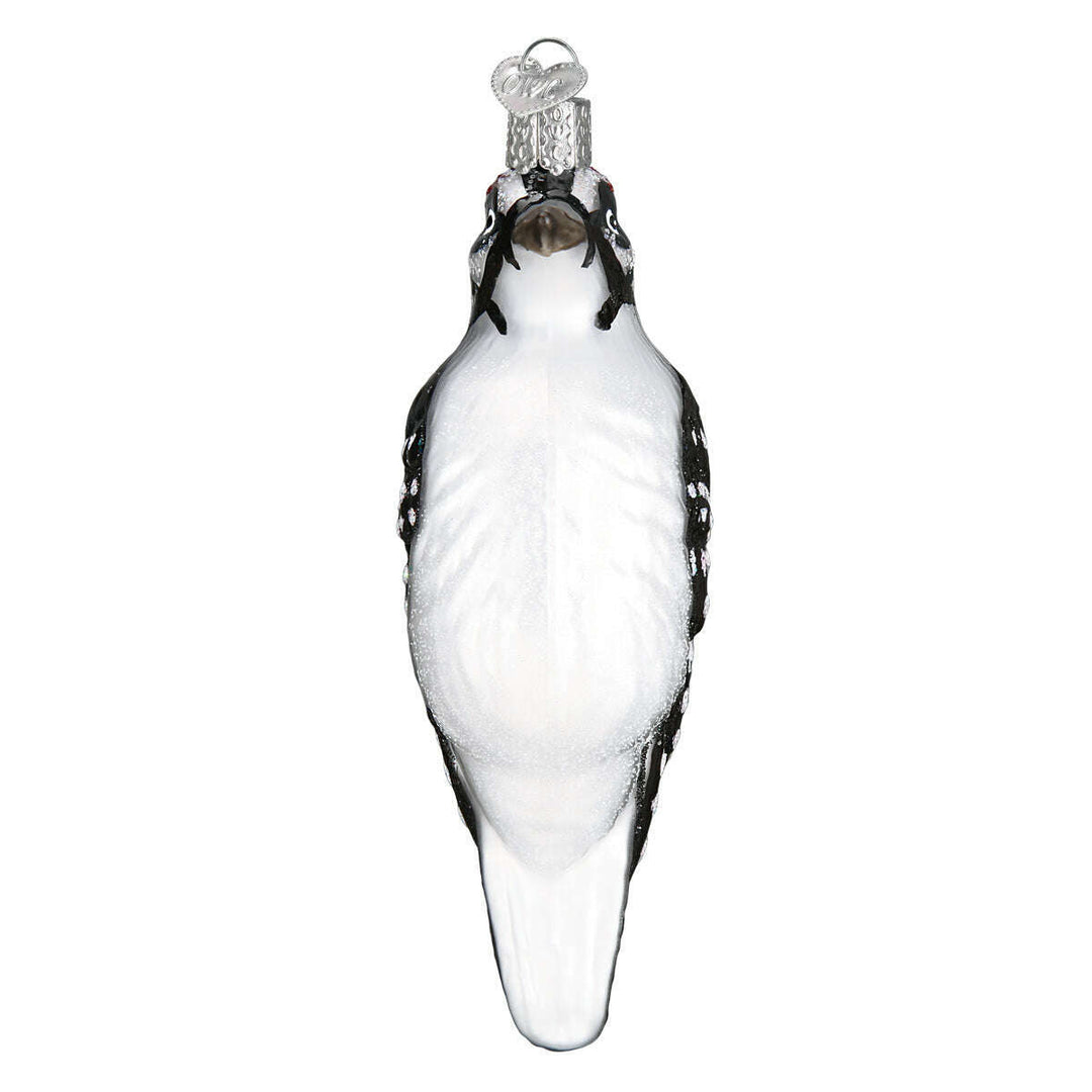 Hanging Hairy Woodpecker