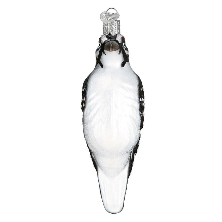 Hanging Hairy Woodpecker