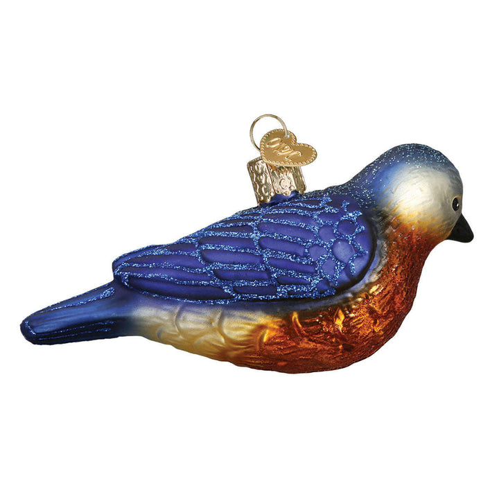 Hanging Western Bluebird