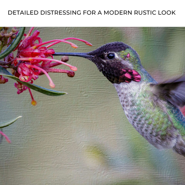 Hummingbird Spring Canvas Wall Art