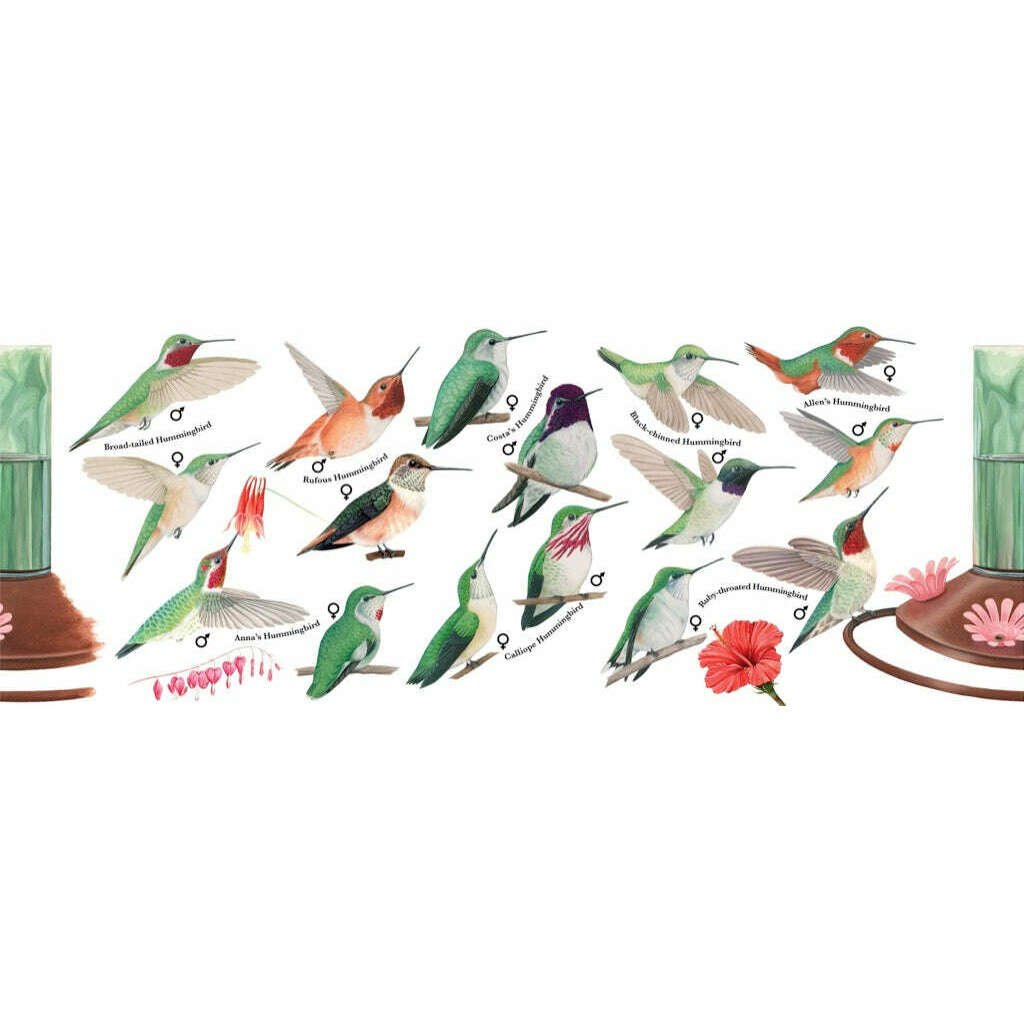 Hummingbirds Mug