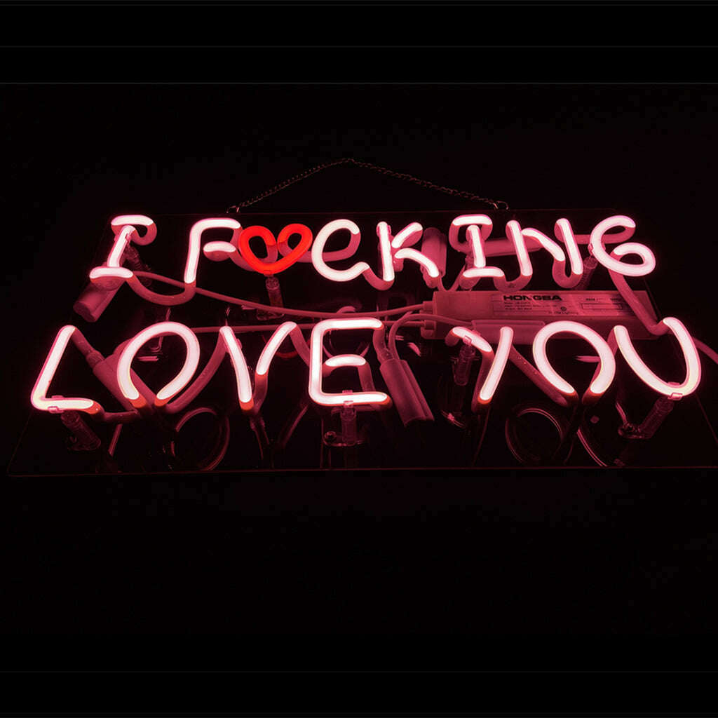 I Fucking Love You Neon Signs