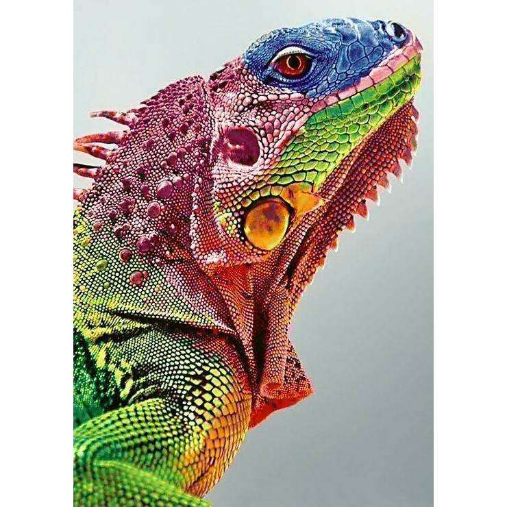 Iguana WD065 10.6 x 14.9 inches Wizardi Diamond Painting Kit