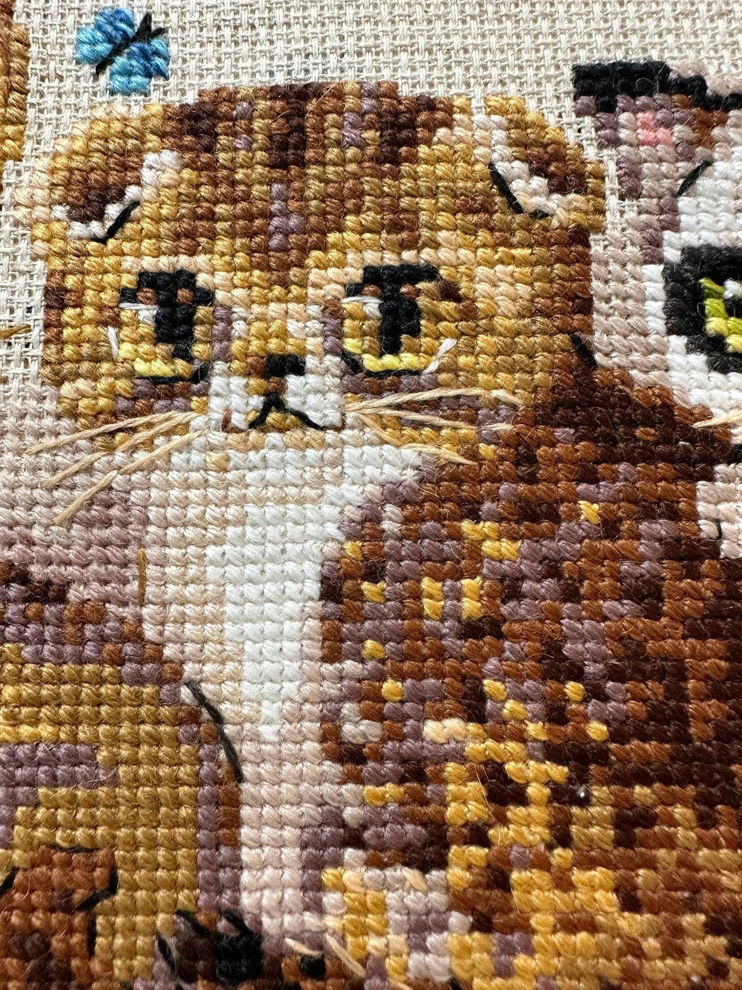 Kittens R2180 Counted Cross Stitch Kit