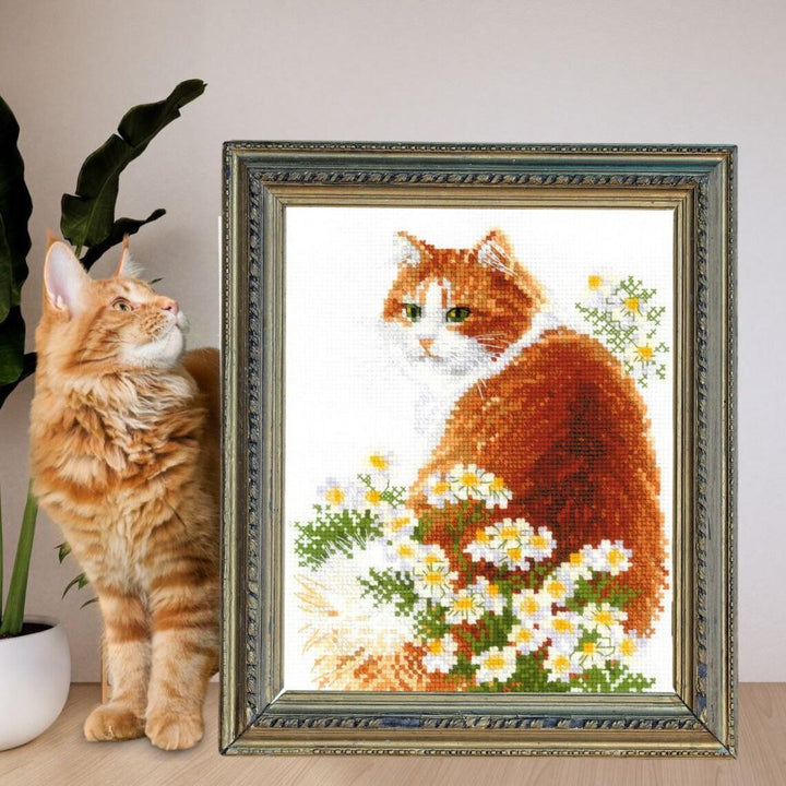 Ginger Meow R2110 Counted Cross Stitch Kit